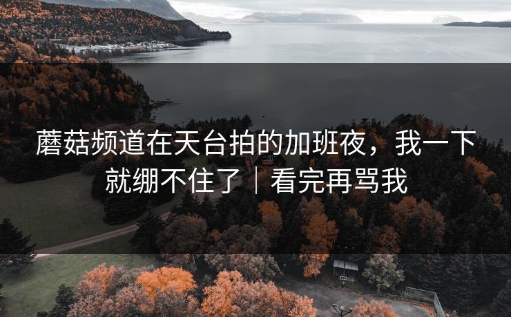 蘑菇频道在天台拍的加班夜,我一下就绷不住了|看完再骂我