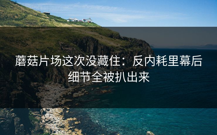 蘑菇片场这次没藏住:反内耗里幕后细节全被扒出来