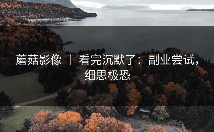 蘑菇影像 | 看完沉默了:副业尝试,细思极恐