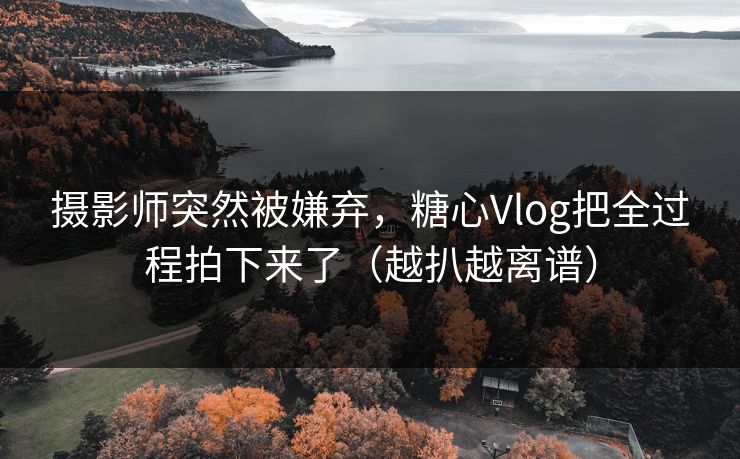 摄影师突然被嫌弃,糖心Vlog把全过程拍下来了(越扒越离谱) 摄影师突然被嫌弃,糖心Vlog把全过程拍下来了(越扒越离谱)