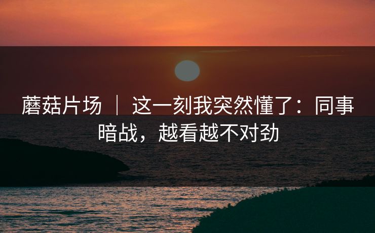 蘑菇片场 ｜ 这一刻我突然懂了：同事暗战，越看越不对劲