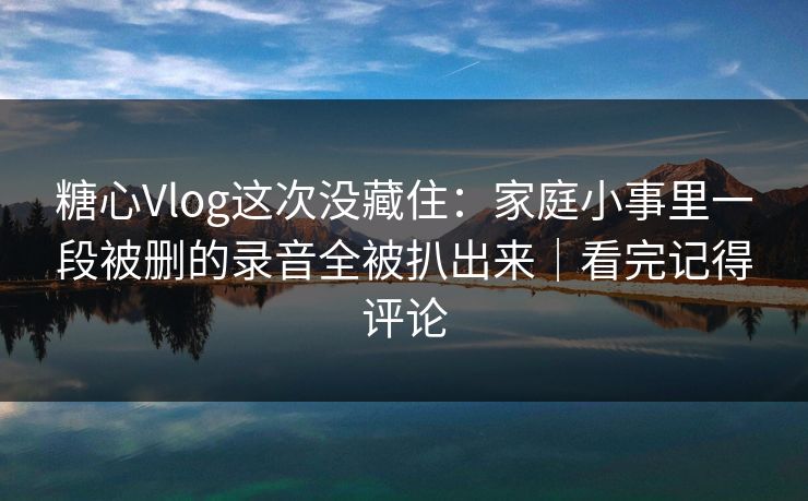 糖心Vlog这次没藏住:家庭小事里一段被删的录音全被扒出来|看完记得评论