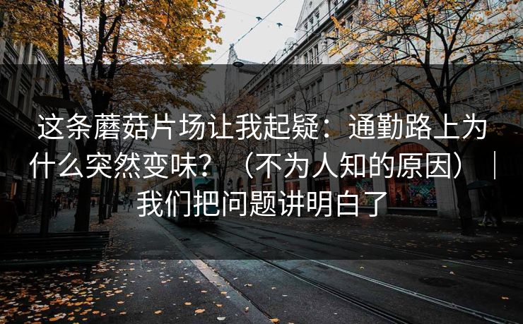 这条蘑菇片场让我起疑：通勤路上为什么突然变味？（不为人知的原因）｜我们把问题讲明白了