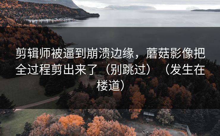 剪辑师被逼到崩溃边缘，蘑菇影像把全过程剪出来了（别跳过）（发生在楼道）