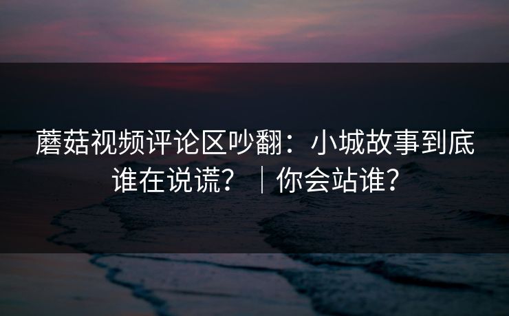 蘑菇视频评论区吵翻:小城故事到底谁在说谎?|你会站谁?