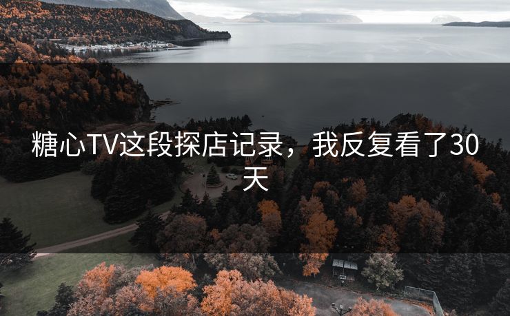 糖心TV这段探店记录,我反复看了30天 糖心TV这段探店记录,我反复看了30天