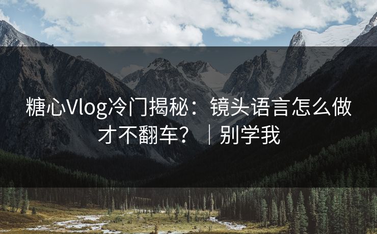 糖心Vlog冷门揭秘：镜头语言怎么做才不翻车？｜别学我