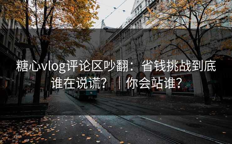 糖心vlog评论区吵翻：省钱挑战到底谁在说谎？｜你会站谁？