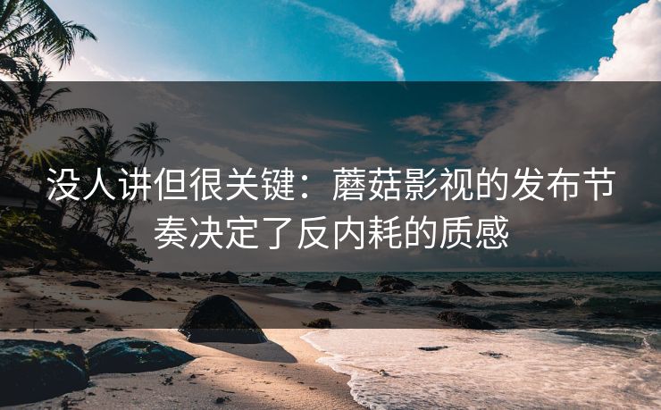 没人讲但很关键:蘑菇影视的发布节奏决定了反内耗的质感