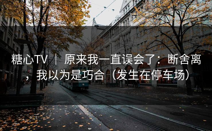 糖心TV | 原来我一直误会了:断舍离,我以为是巧合(发生在停车场)