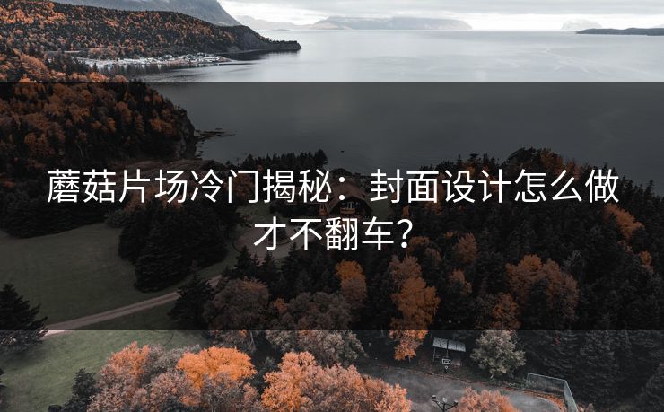 蘑菇片场冷门揭秘：封面设计怎么做才不翻车？