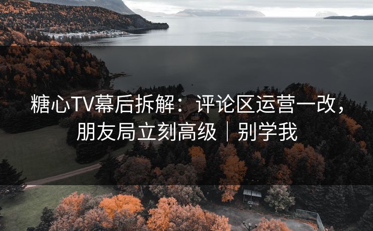 糖心TV幕后拆解:评论区运营一改,朋友局立刻高级|别学我