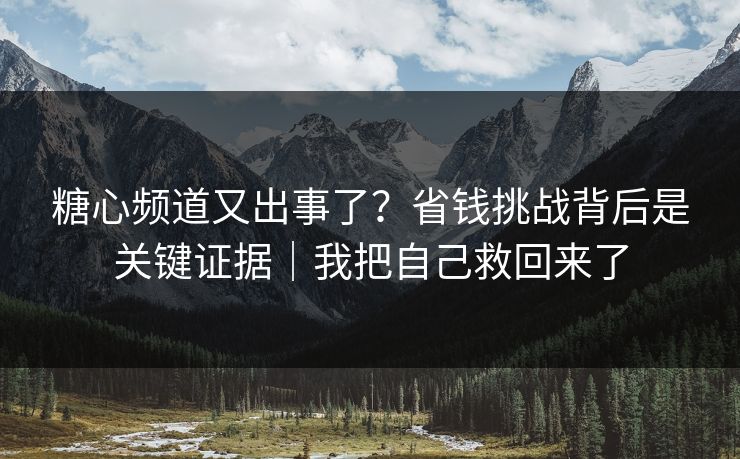 糖心频道又出事了？省钱挑战背后是关键证据｜我把自己救回来了